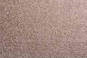 Ковролин Condor Carpets Bologna 75 фото  | FLOORDEALER